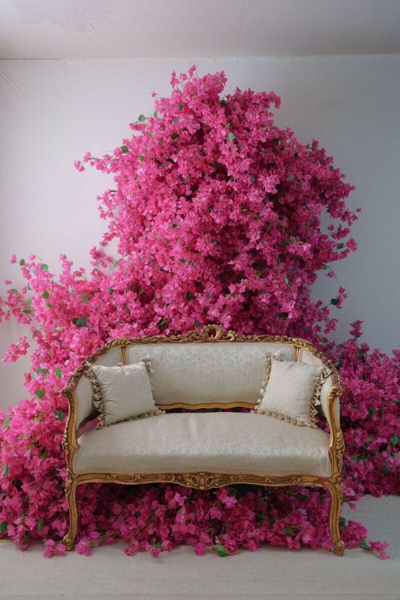 ファーストスタジオのご紹介♪