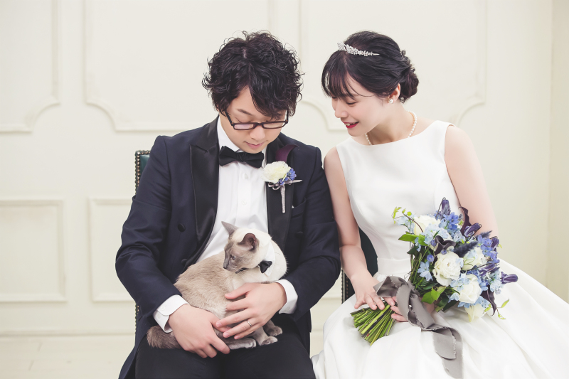 ペット撮影のご案内♪