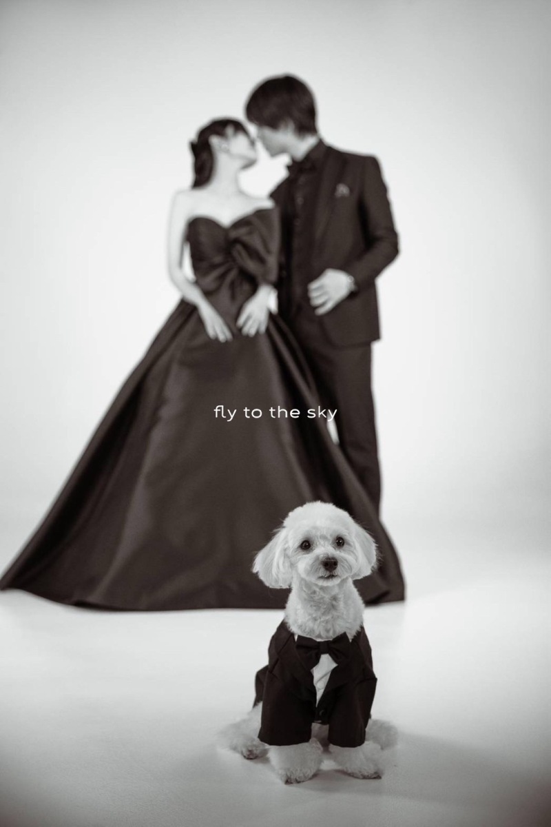 ペット撮影のご案内♪