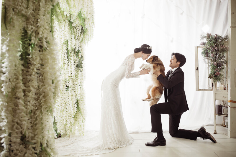 ペット撮影のご案内♪