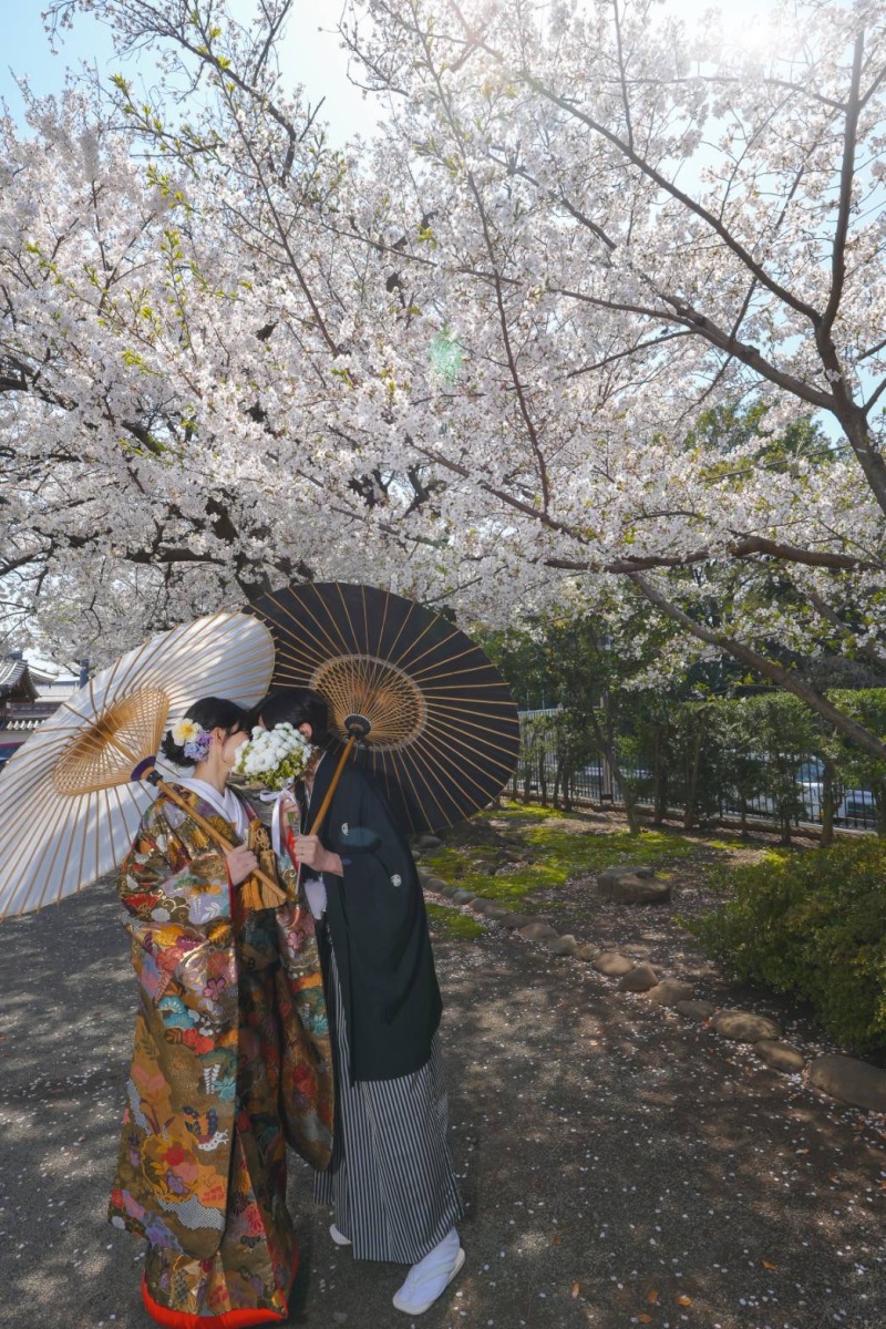 最新フォト紹介!