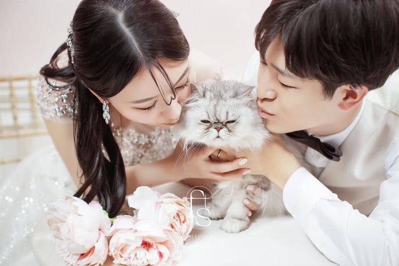 ペット撮影のご案内♪