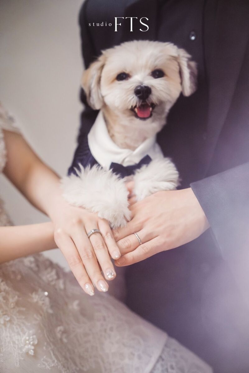 ファーストスタジオ最新フォト紹介