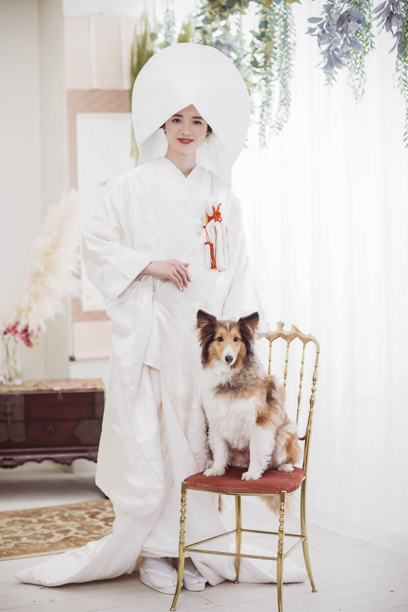 ペット撮影のご案内♪