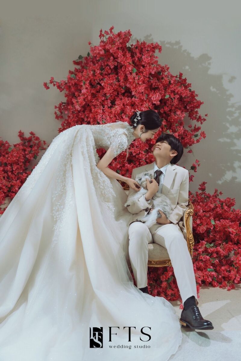 ペット撮影のご案内