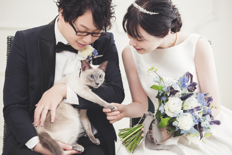 ペット撮影のご案内♪