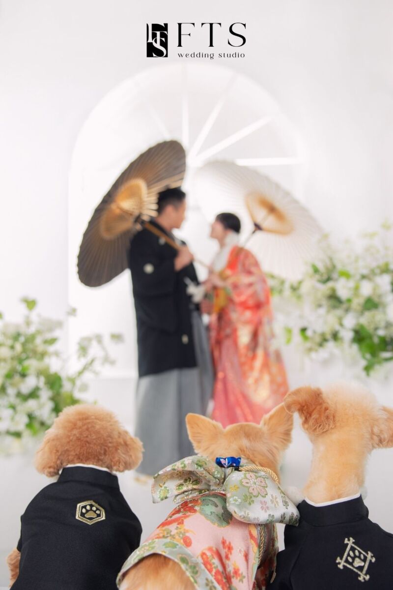 ペット撮影のご案内♡