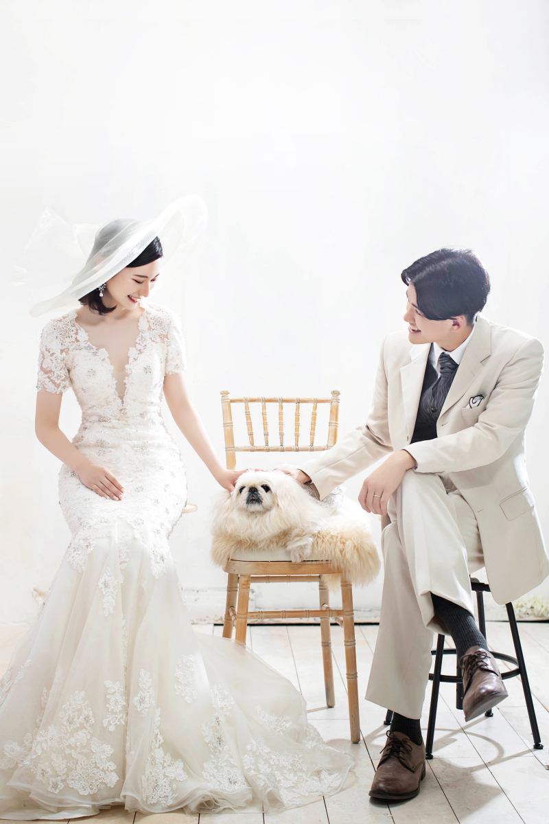 ペット撮影のご案内♪