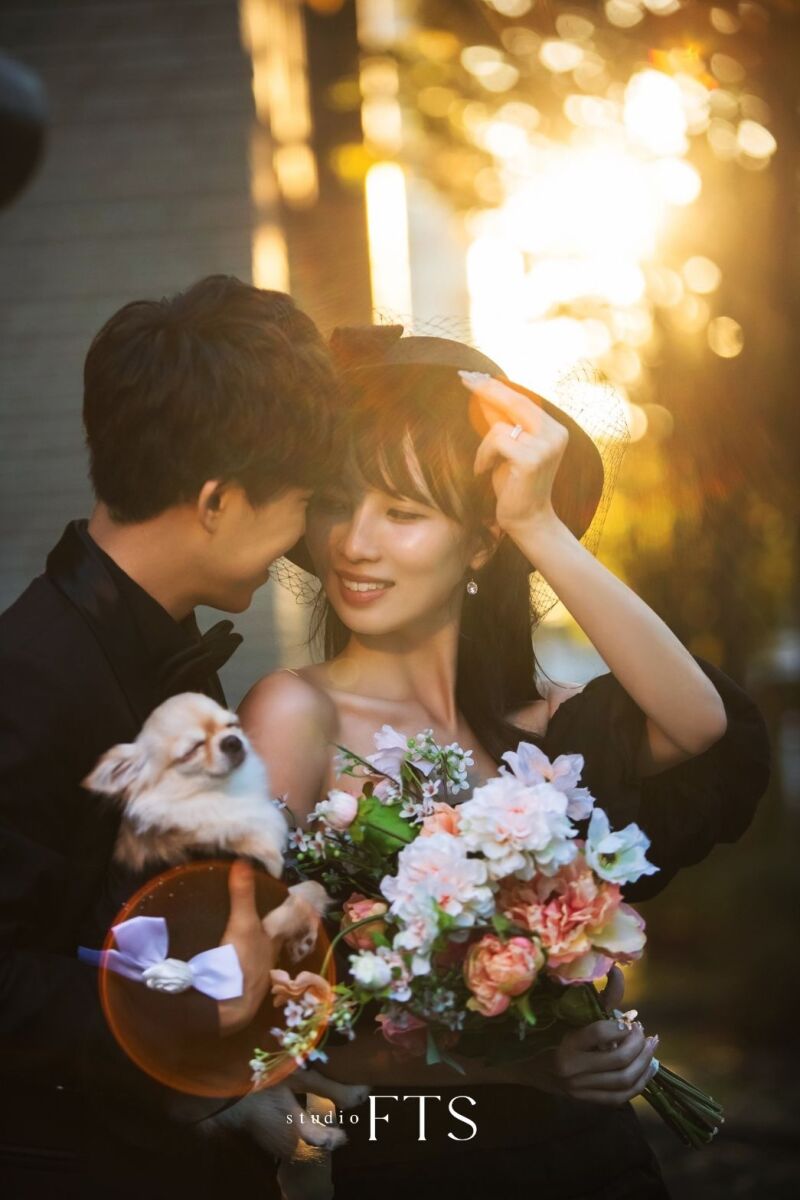 ペット撮影のご案内