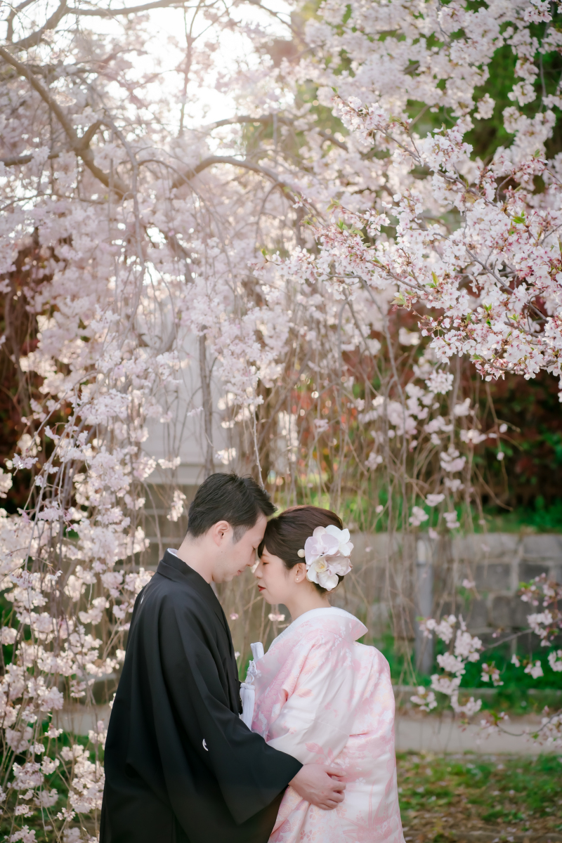 ❁　桜ロケーション撮影　❁ ⑤ 後編