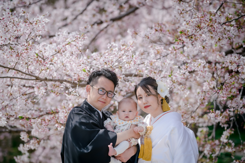 ❁　桜ロケーション撮影　❁ ② ファミリーフォト 後編