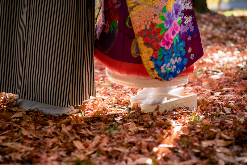 ❁ 紅葉の見どころをご紹介 ❁ 11月後半編