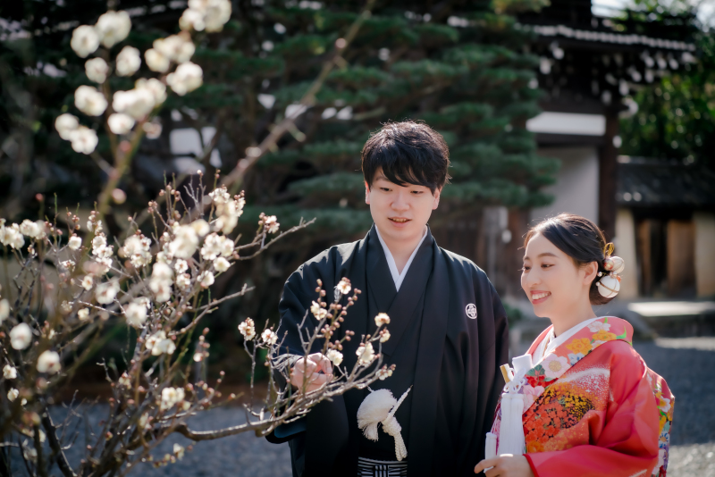 ❁　2月の梅　❁