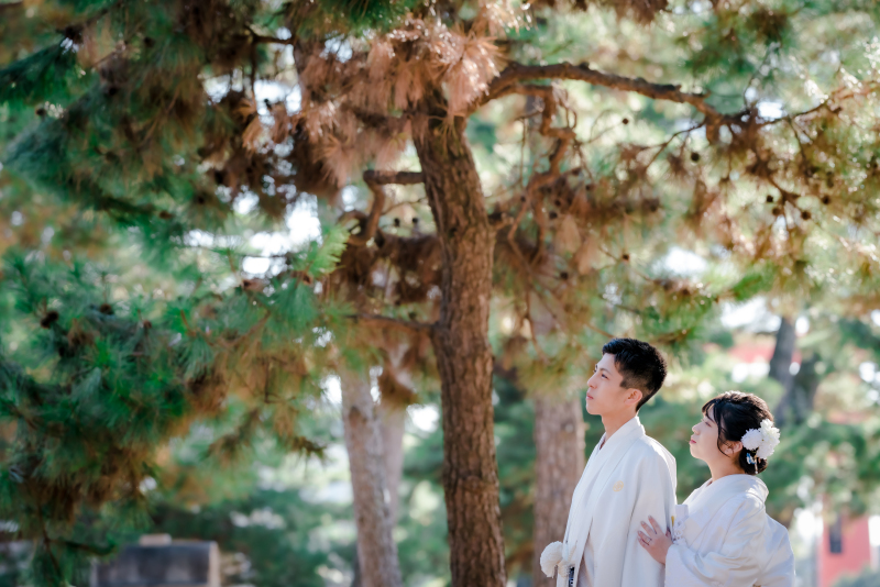  ❁　12月後半 冬の撮影風景　❁➀