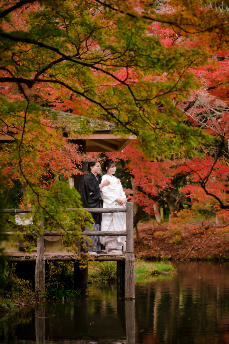❁ 紅葉の見どろをご紹介 ❁ 11月後半編⑤