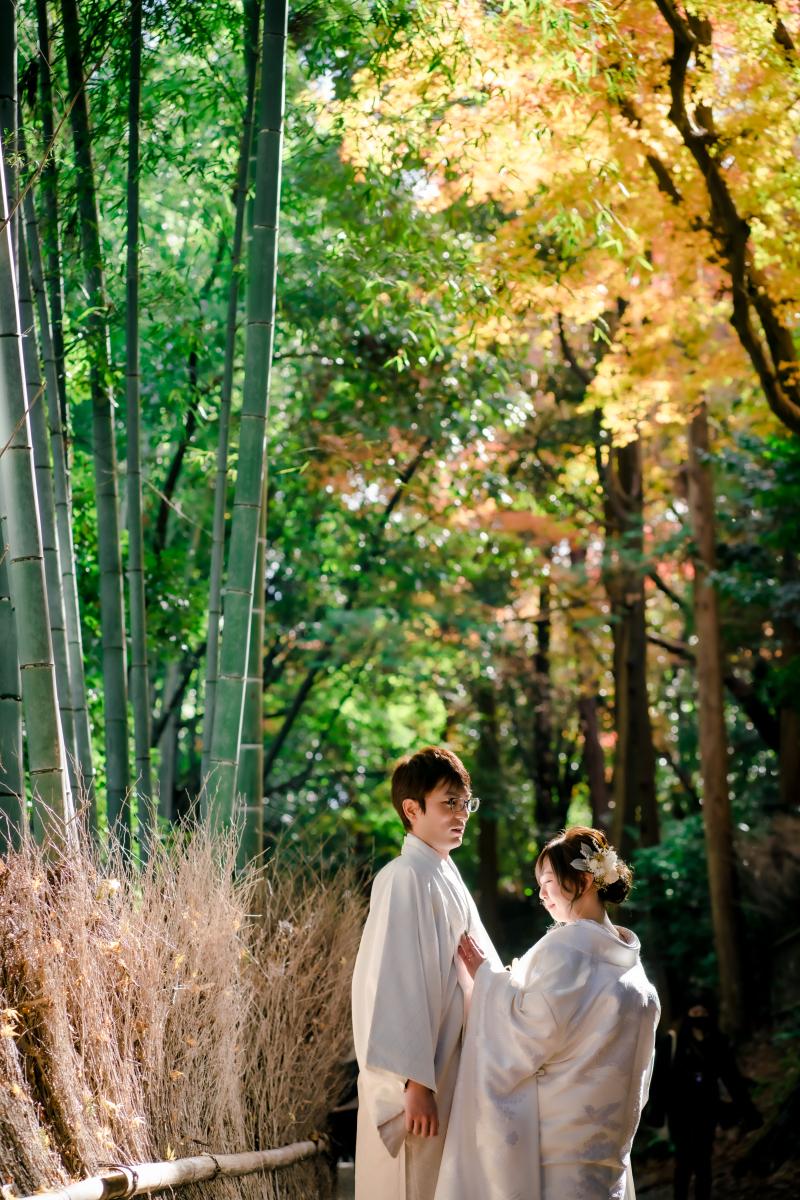 ❁ 11月後半紅葉ロケーション撮影 ❁ ②