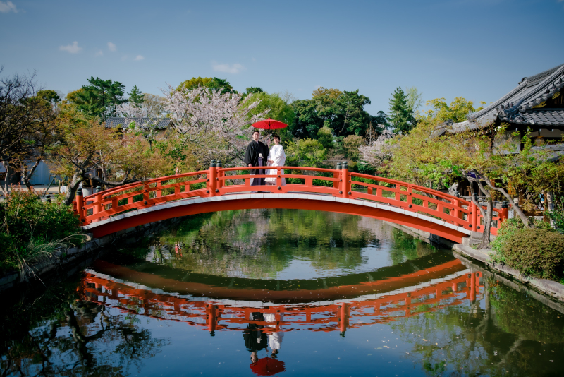  ❁　桜ロケーション撮影　❁ ⑤ 前編