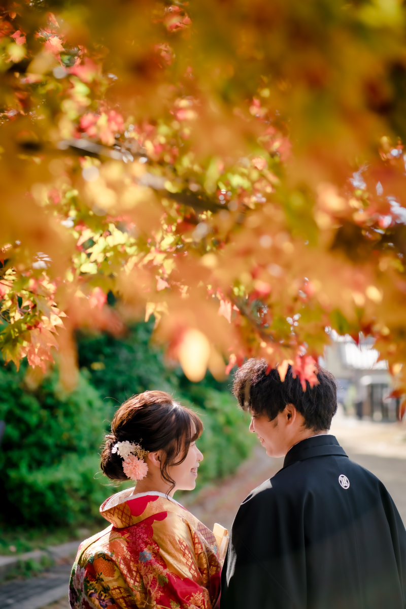 ❁ 紅葉の見どころをご紹介 ❁ 11月後半編④