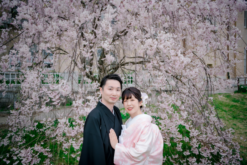 ❁　桜ロケーション撮影　❁ ⑤ 後編