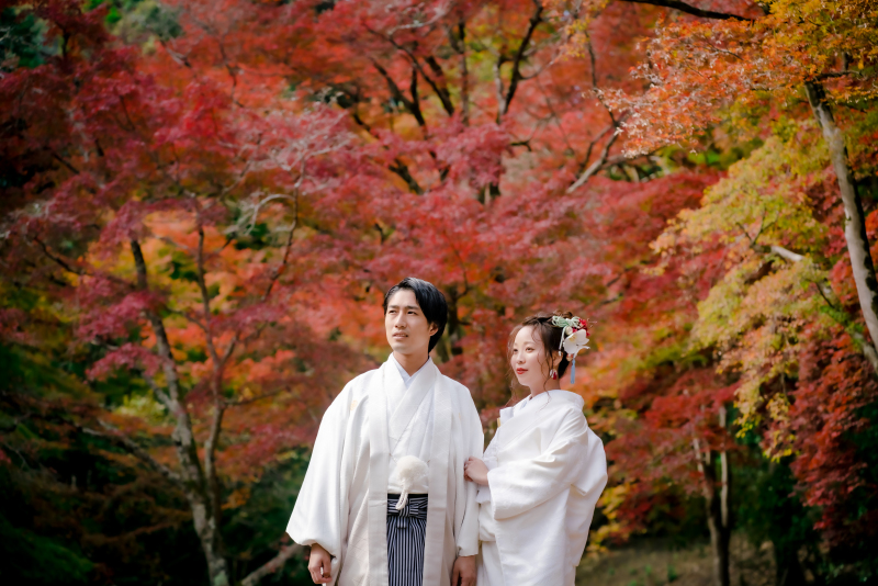 ❁ 紅葉の見どころをご紹介 ❁ 11月後半編②