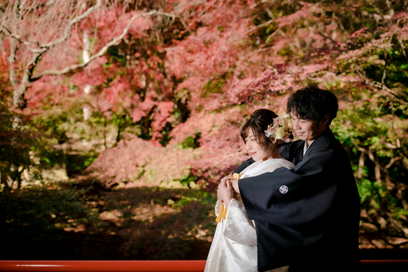 ❁ 紅葉の見どころをご紹介 ❁ 11月後半編④
