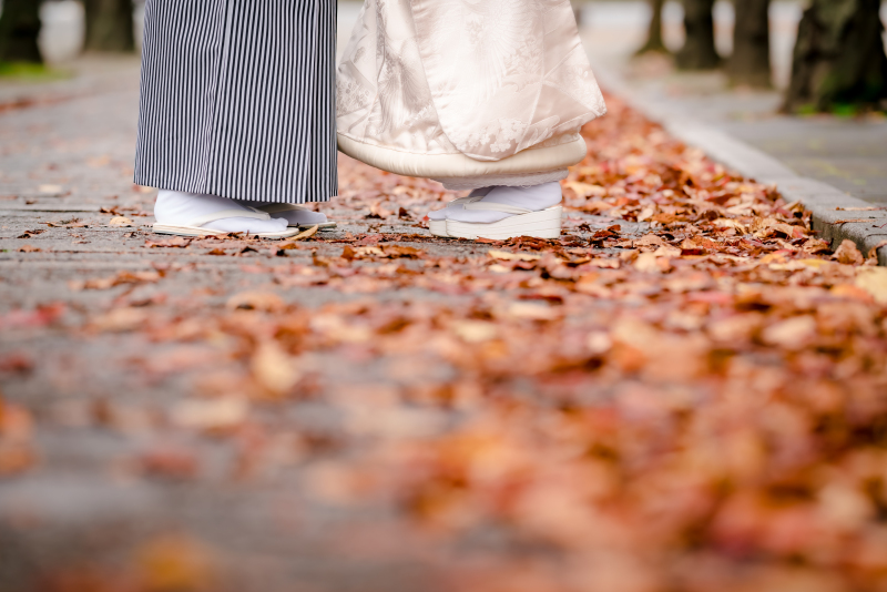 ❁　12月前半 冬の撮影風景　❁③