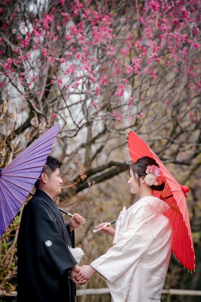 ❁　2月の梅　❁ ③