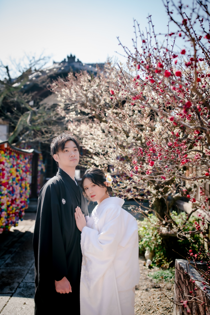 ❁　2月の梅　❁