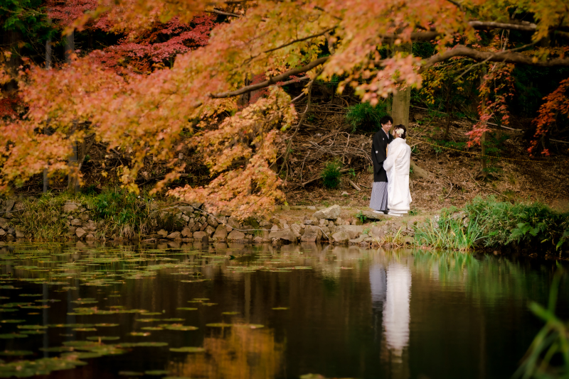 ❁ 紅葉の見どころをご紹介 ❁ 11月後半編④