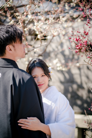 ❁　2月の梅　❁