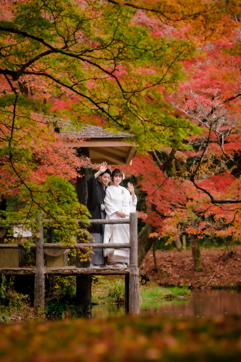 ❁ 紅葉の見どろをご紹介 ❁ 11月後半編⑤