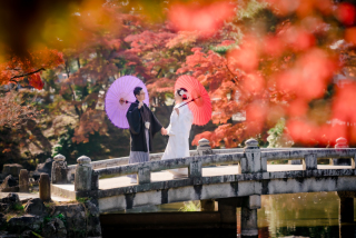 ❁ 紅葉の見どころをご紹介 ❁ 11月後半編③