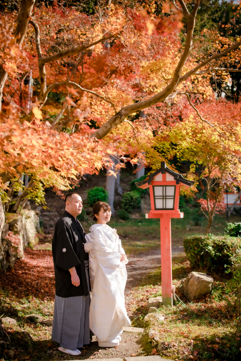 ❁ 11月後半紅葉ロケーション撮影 ❁ ③