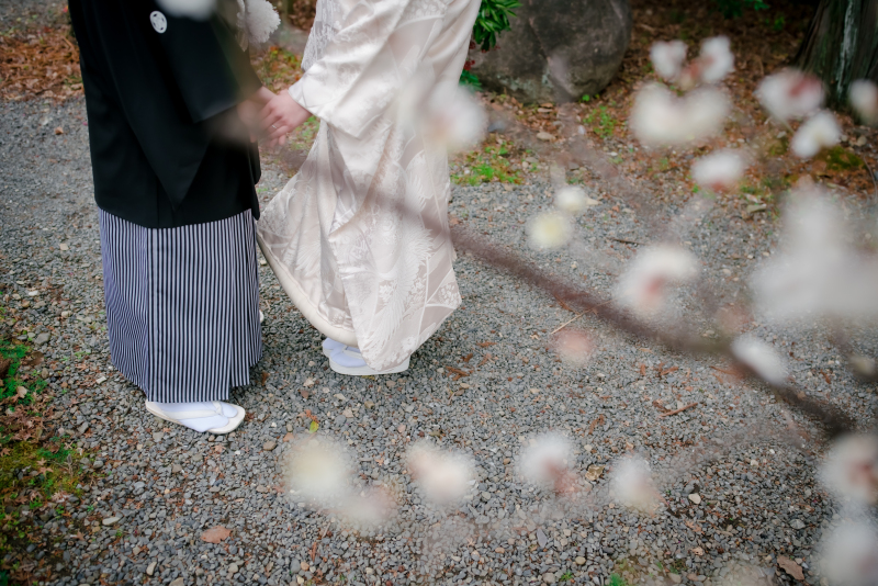 ❁　2月の梅　❁ ③