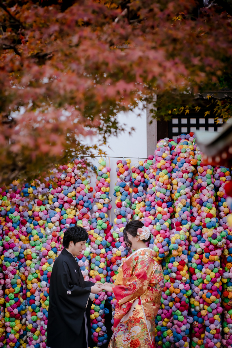❁ 12月前半 冬の撮影風景 ❁