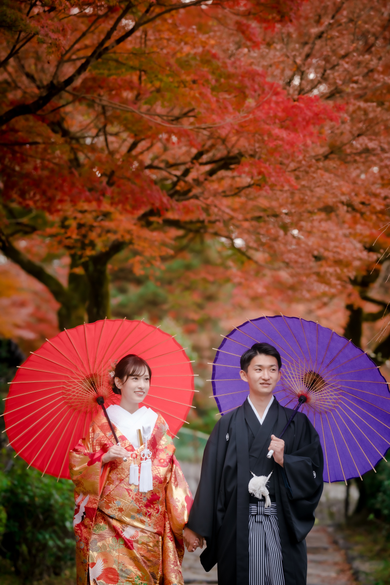  ❁ 紅葉の見どろをご紹介 ❁ 11月後半編⑥