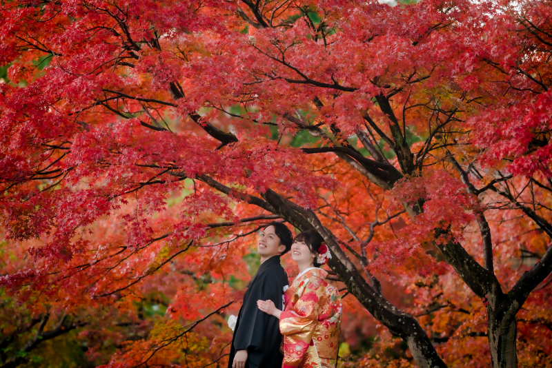  ❁　１１月後半紅葉ロケーション撮影　❁ ➀