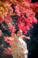 ❁ 色打掛紹介 ❁