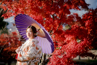 ❁　色打掛紹介　❁