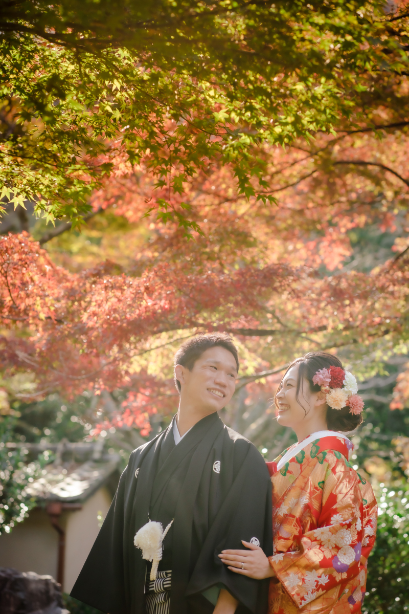 ❁ 紅葉の見どころをご紹介 ❁ 11月前半編