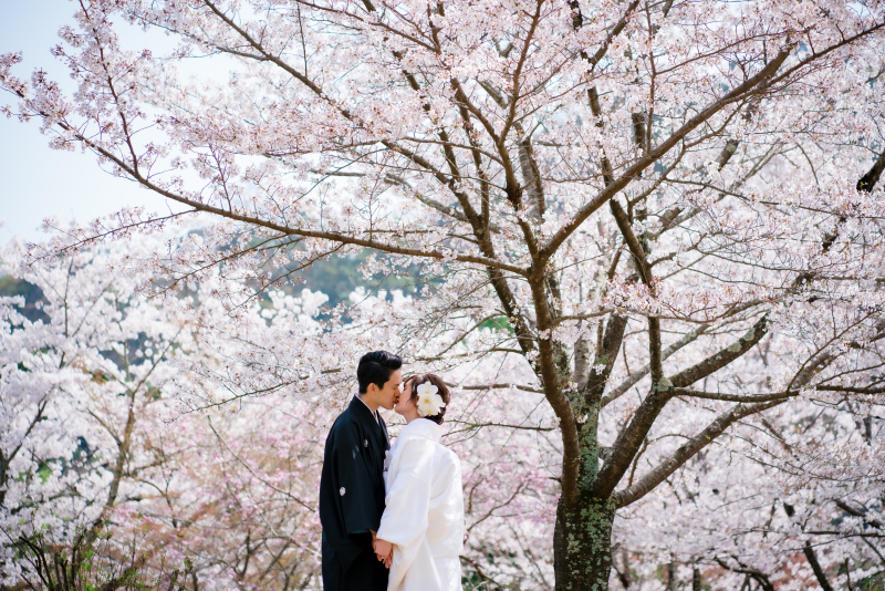 ❁　３月の撮影風景　❁⑧