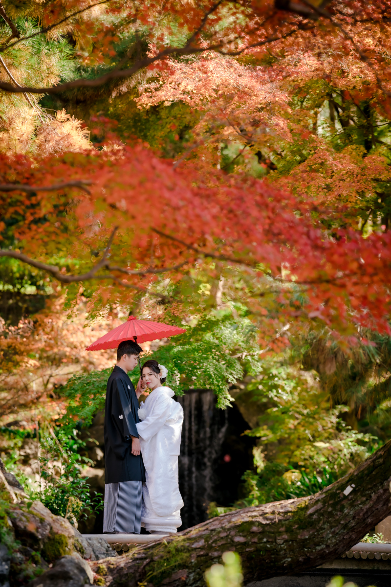 ❁　１１月後半紅葉ロケーション撮影　❁ ④