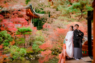 ❁ 神社仏閣 - 毘沙門堂- ❁