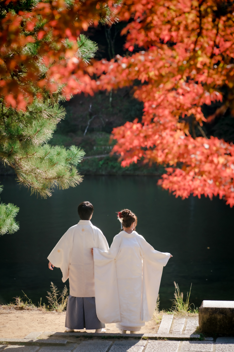 ❁ 紅葉の見どころをご紹介 ❁ 11月後半編②