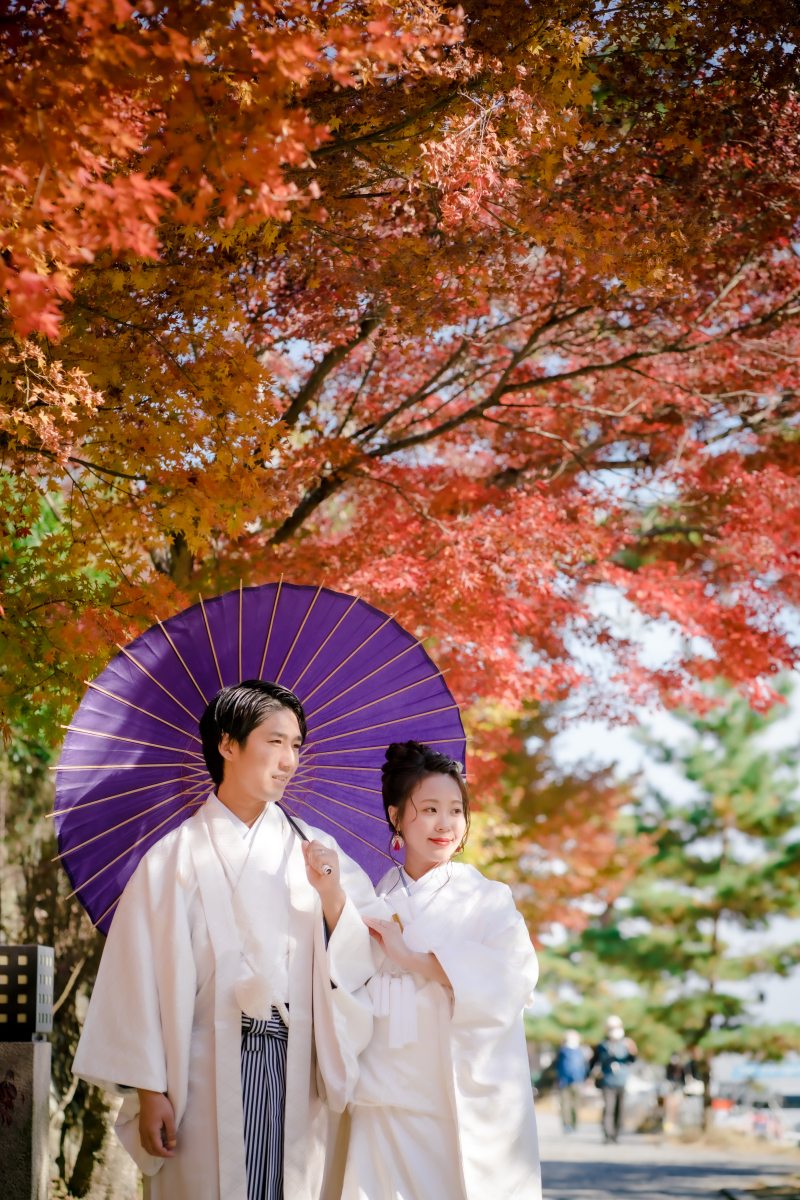 ❁ 紅葉の見どころをご紹介 ❁ 11月後半編②