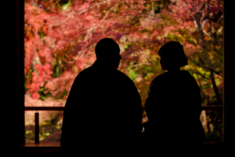 ❁ 11月後半紅葉ロケーション撮影 ❁ ③