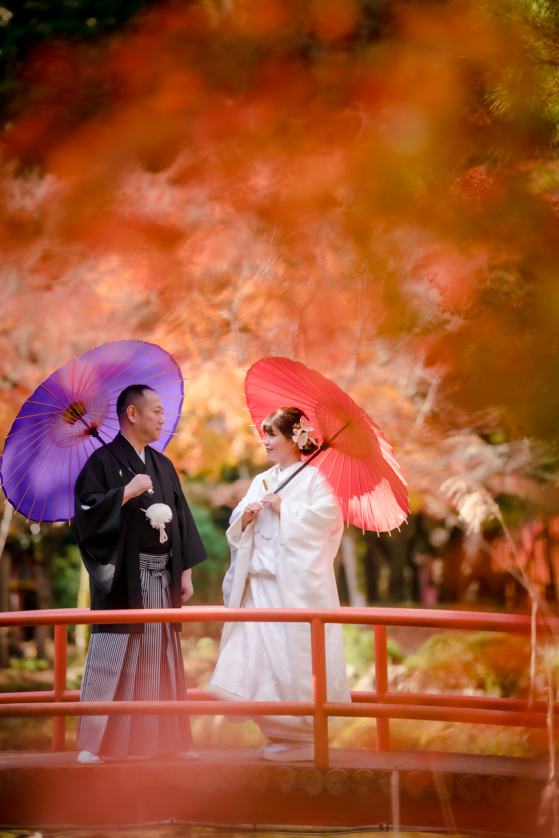 ❁ 11月後半紅葉ロケーション撮影 ❁ ③