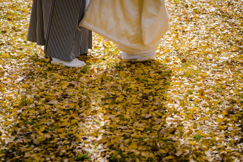 ❁ 紅葉の見どろをご紹介 ❁ 11月後半編⑤