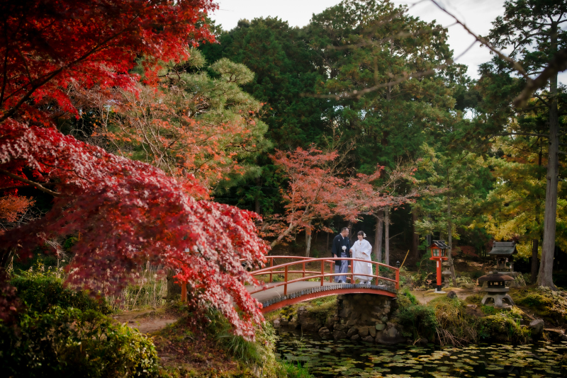 ❁ 11月後半紅葉ロケーション撮影 ❁ ③