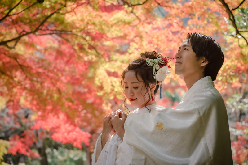 ❁ 紅葉の見どころをご紹介 ❁ 11月後半編②